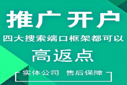 成功案例解析：SEM竞价员策略
