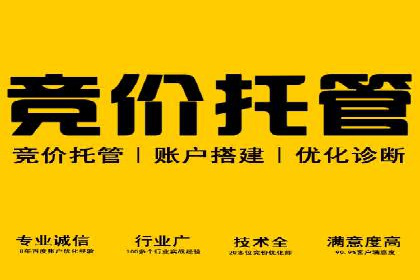 谷歌竞价广告优化技巧及某行业成功案例